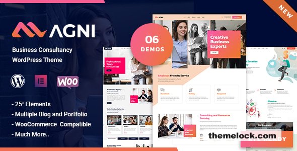 Agni v1.2.0 – Consulting Business